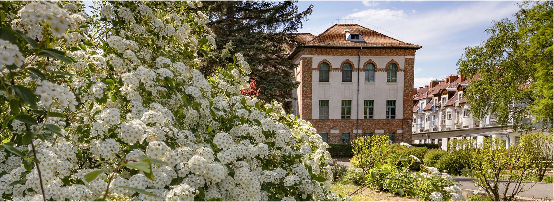 Szakmai hét - 2026. április 13-17.